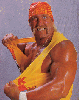 Hulk Hogan