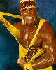 Hulk Hogan