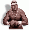 Hulk Hogan