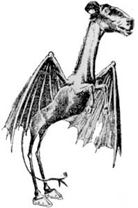 The Jersey Devil