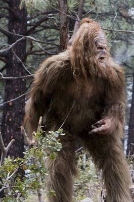 Bigfoot